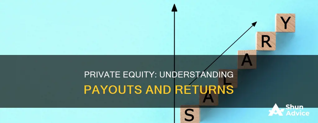 how do private equity investments usually payout