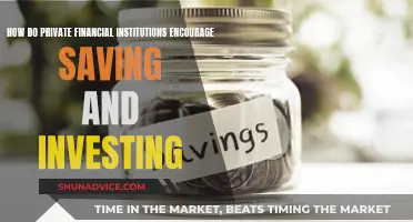 Financial Institutions: Encouraging Savings and Investment Strategies