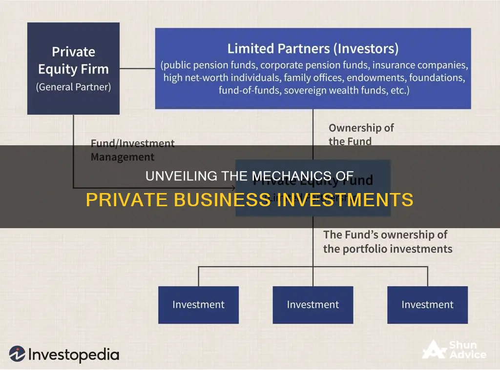 how do private investments in businesses work