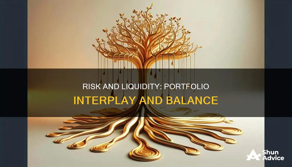 how do risk and liquidity interplay in an investment porfolio