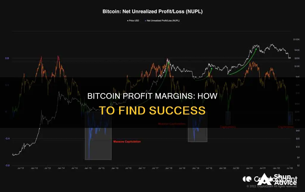 how do they find profit margin investing in bitcoin