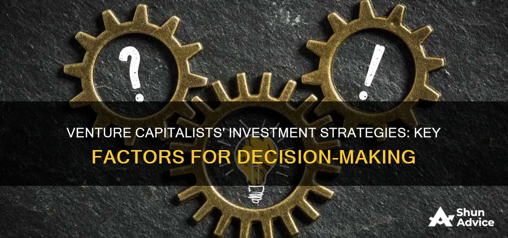 how do vcs make investment decisions