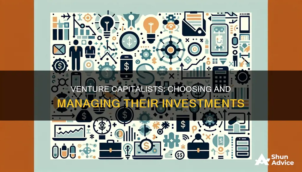 how do venture capitalists choose and manage their investments