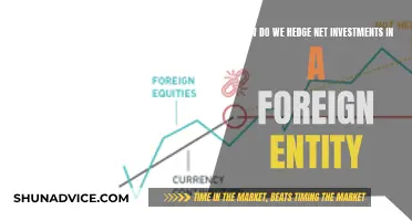 Navigating Foreign Investment Risks: Strategies for Effective Hedging