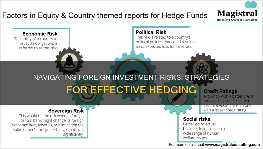 how do we hedge net investments in a foreign entity