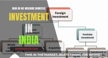 India's Domestic Investment: Measuring the Metrics