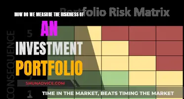 Assessing Investment Risk: Measuring Portfolio Riskiness