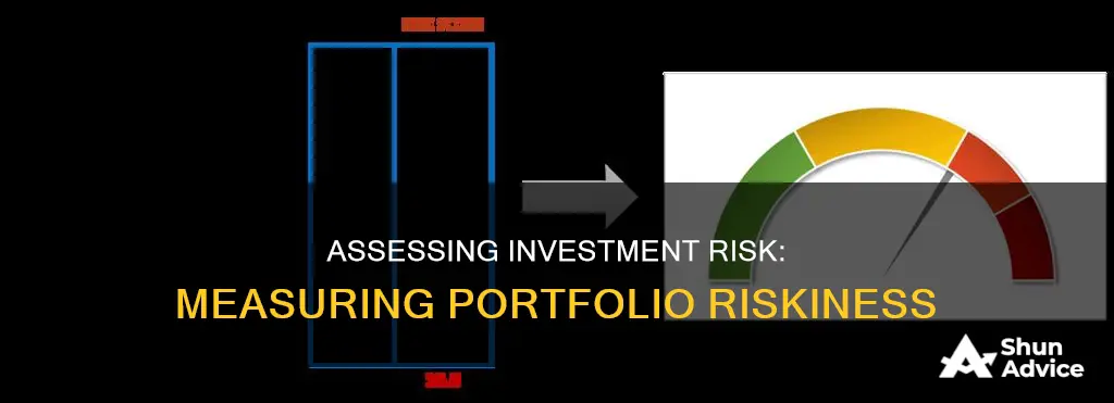 how do we measure the riskiness of an investment portfolio