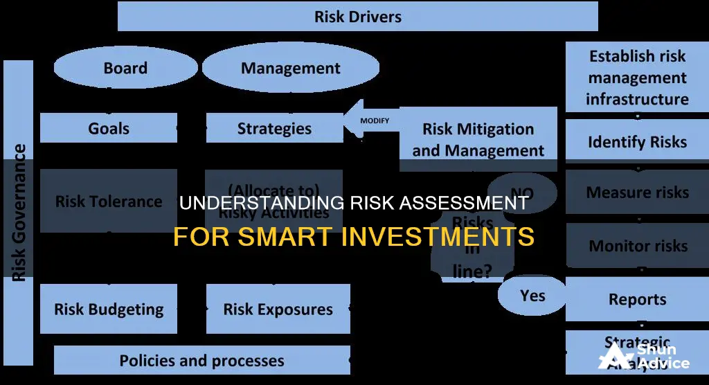 how do you assessment risk investment