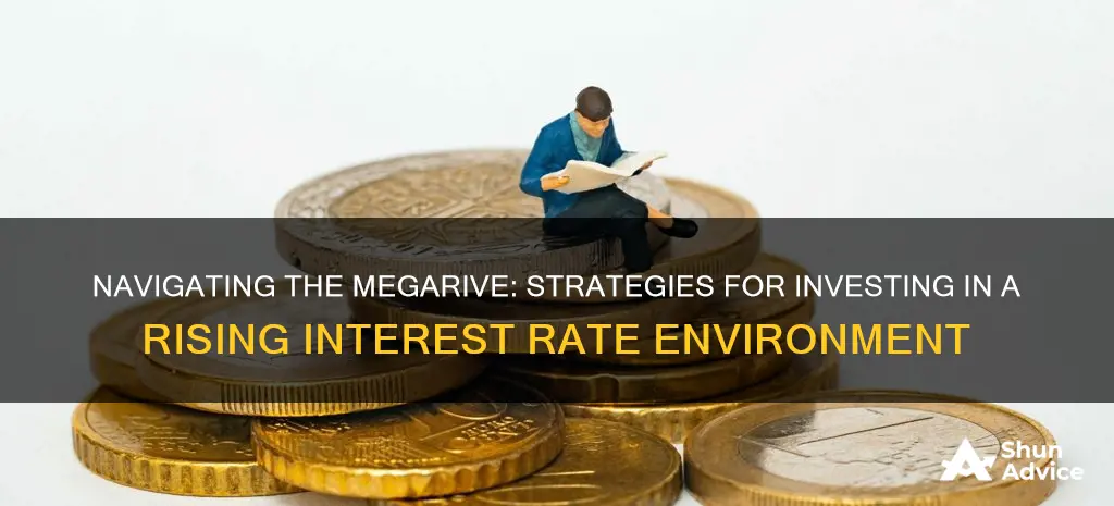 how do you invest in a megarive interest rate environment