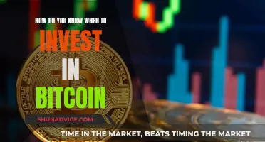 The Right Time to Invest in Bitcoin?