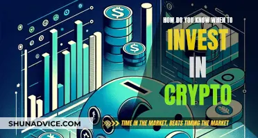 Investing in Crypto: When to Take the Plunge?