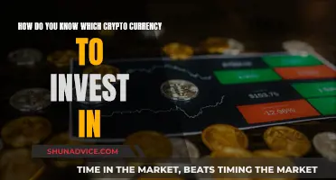 Investing in Crypto: Choosing the Right Currency