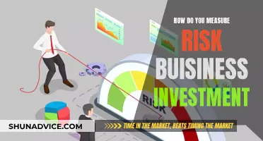 Calculating Risk: Measuring Business Investment Strategies