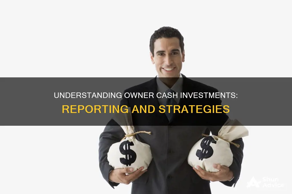 how do you report cash invested by an owner