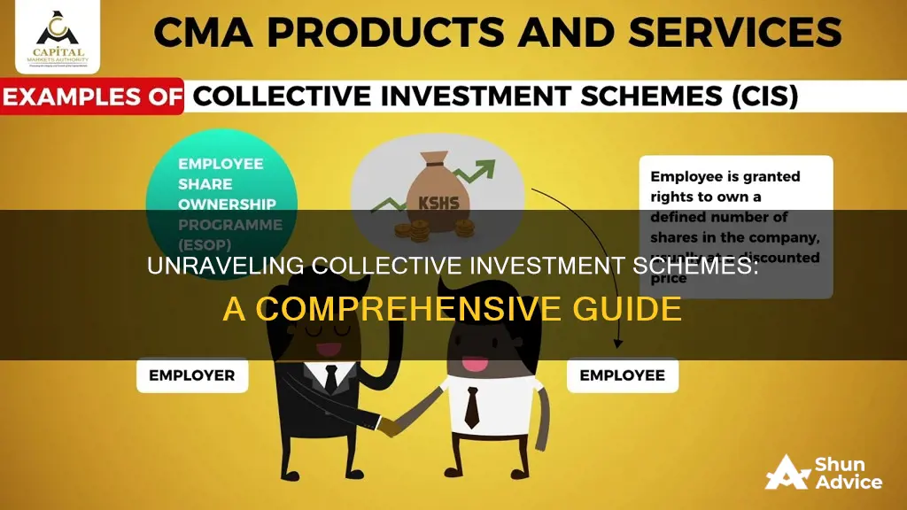 how does a collective investment scheme work