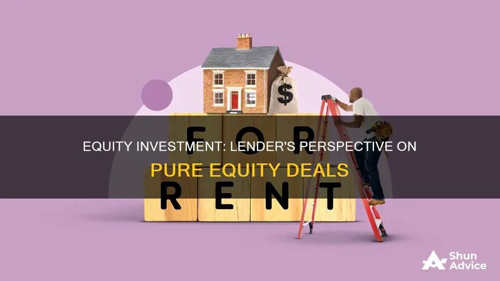 how does a lender feel about a pure equity investment