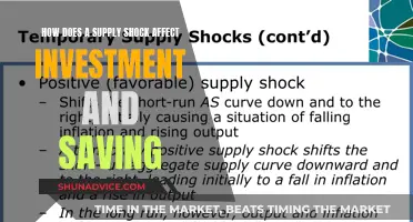 Supply Shock's Impact on Investment and Saving Decisions