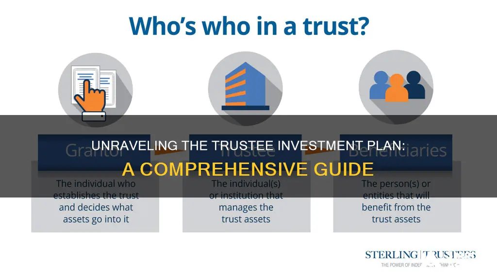 how does a trustee investment plan work