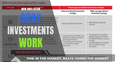 Unraveling Allan Gray Investments: A Comprehensive Guide to Its Inner Workings