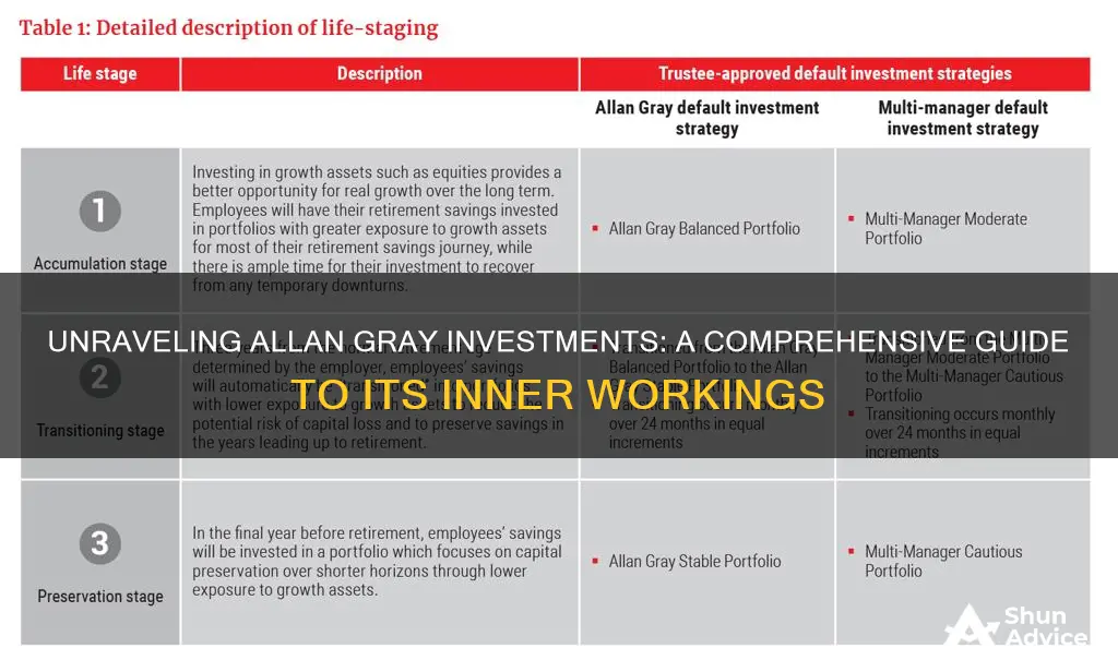 how does allan gray investments work