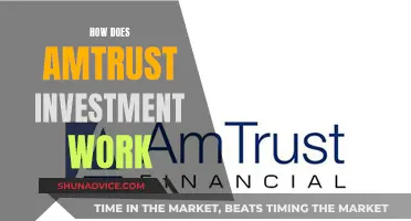 Unraveling AmTrust's Investment Strategy: A Comprehensive Guide