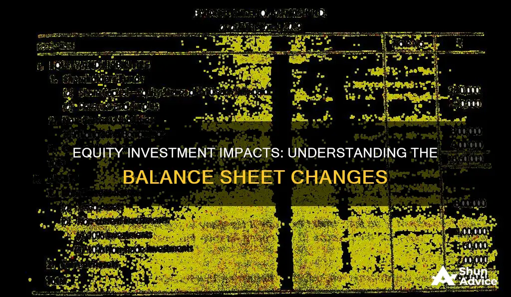 how does an equity investment affect the balance sheet