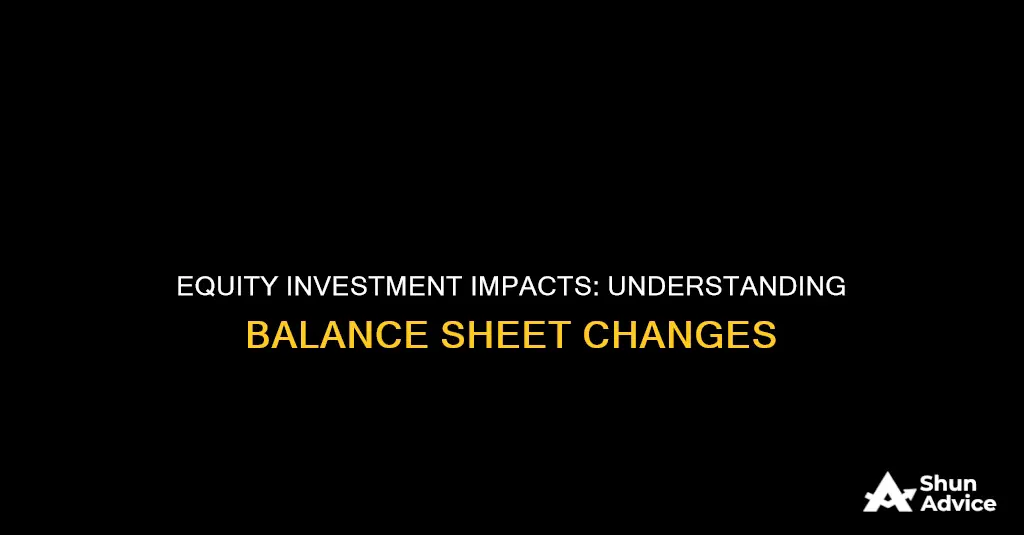 how does an equity investment affect the balance shet