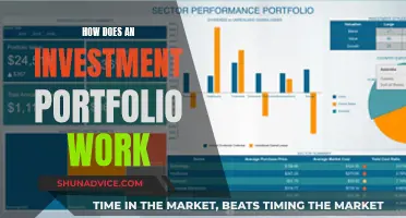 Unraveling the Investment Portfolio: A Comprehensive Guide to Wealth Management