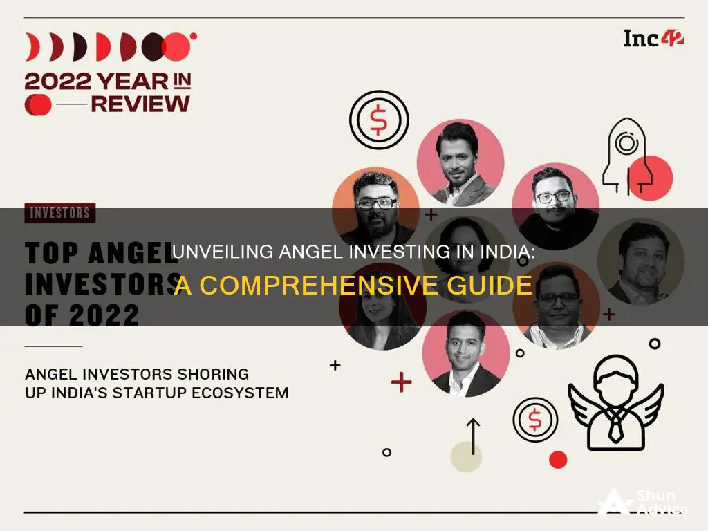 how does angel investing work in india