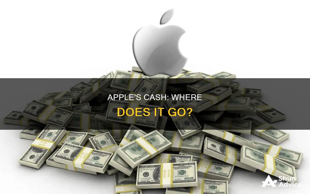 how does apple invest its cash