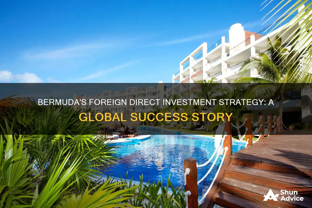 how does bermuda do foreign direct investment