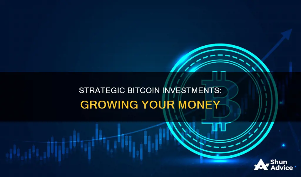 how does bitcoin investment grow