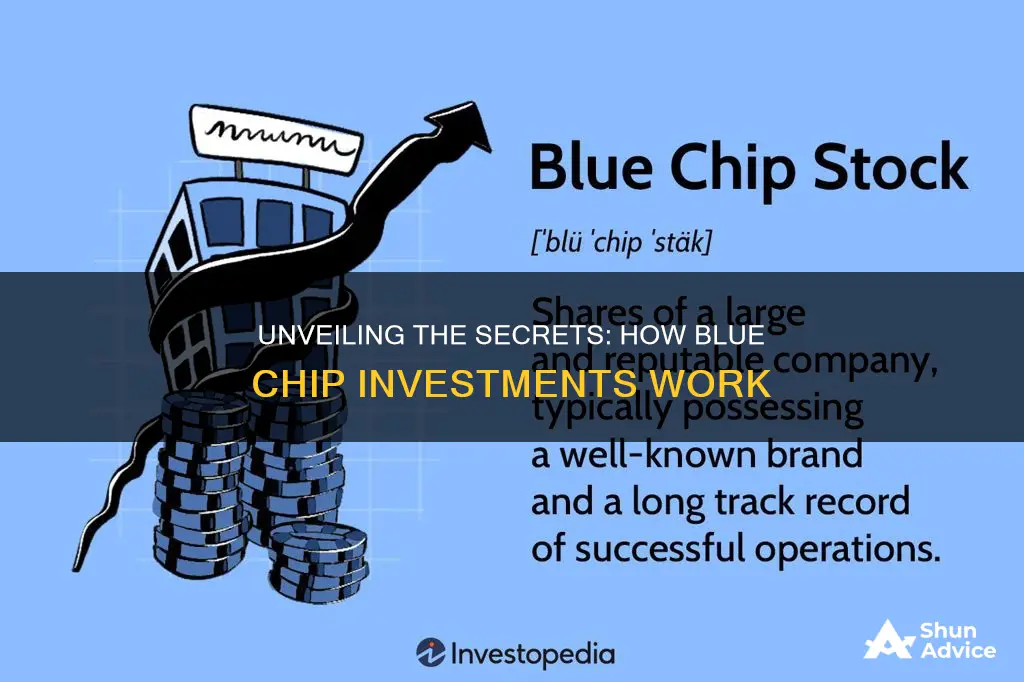 how does blue chip investment work