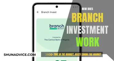 Branch Investment: Unlocking Financial Growth Through Strategic Branching