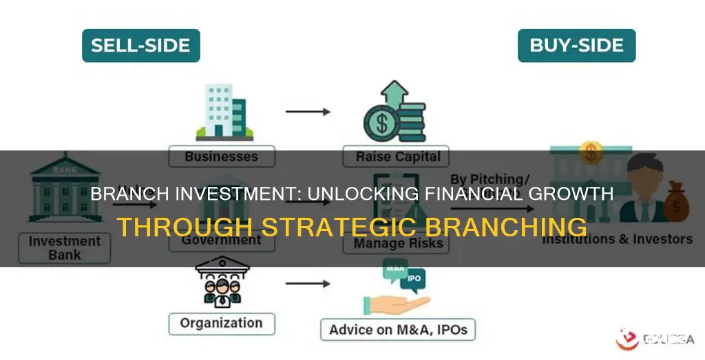 how does branch investment work