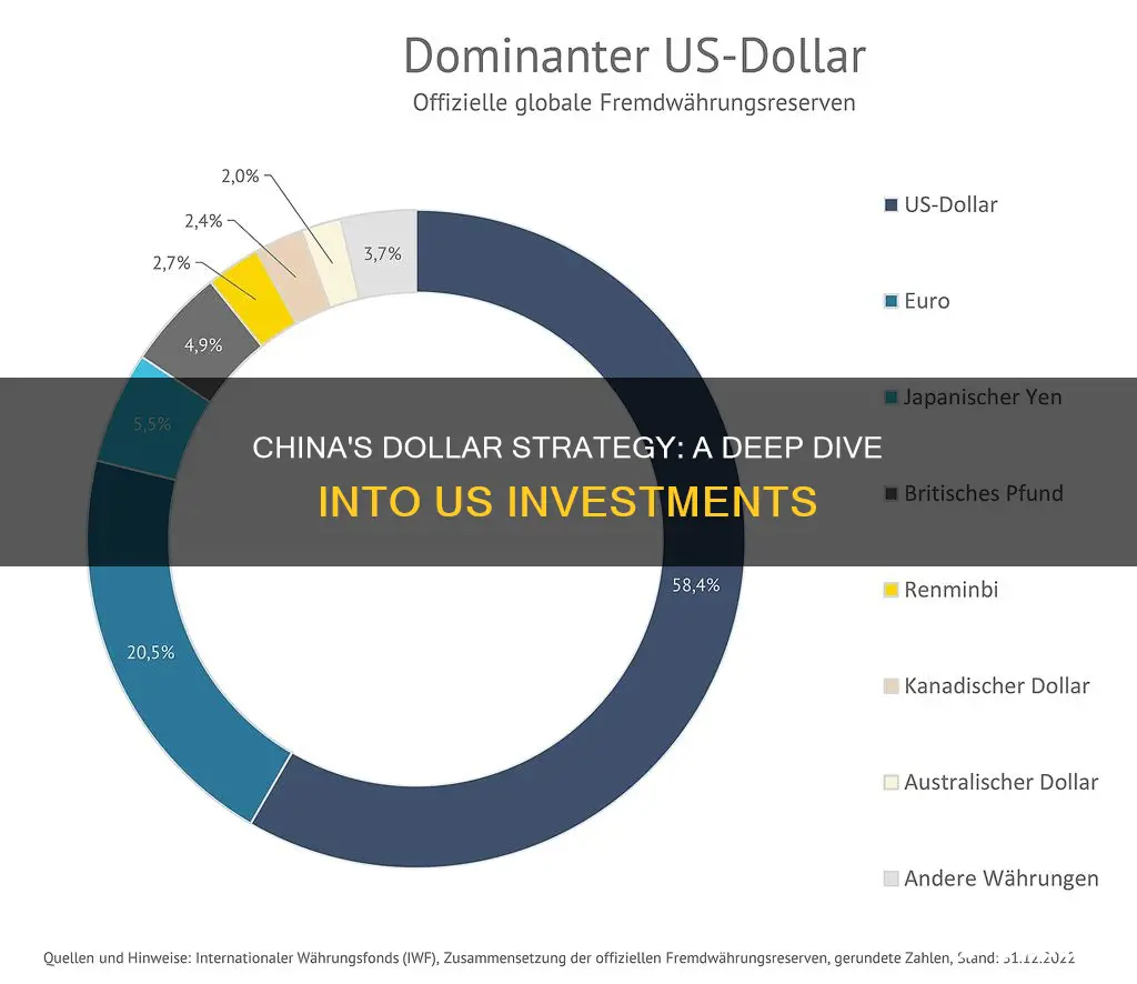 how does china invest in us dollars