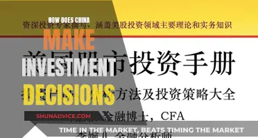 China's Investment Strategies: Decision-Making Factors and Motivations