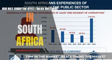 Unraveling the Impact: Corruption's Grip on Foreign Investment in South Africa