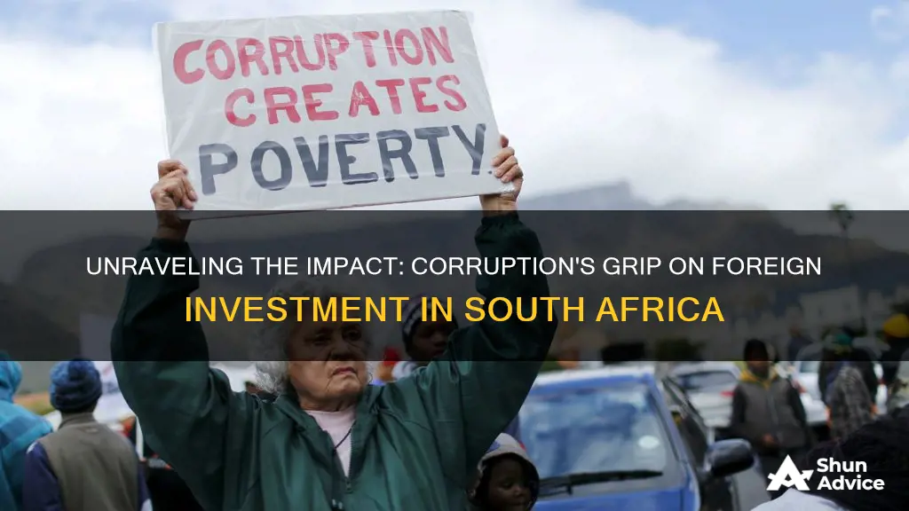 how does corruption affect foreign investment in south africa