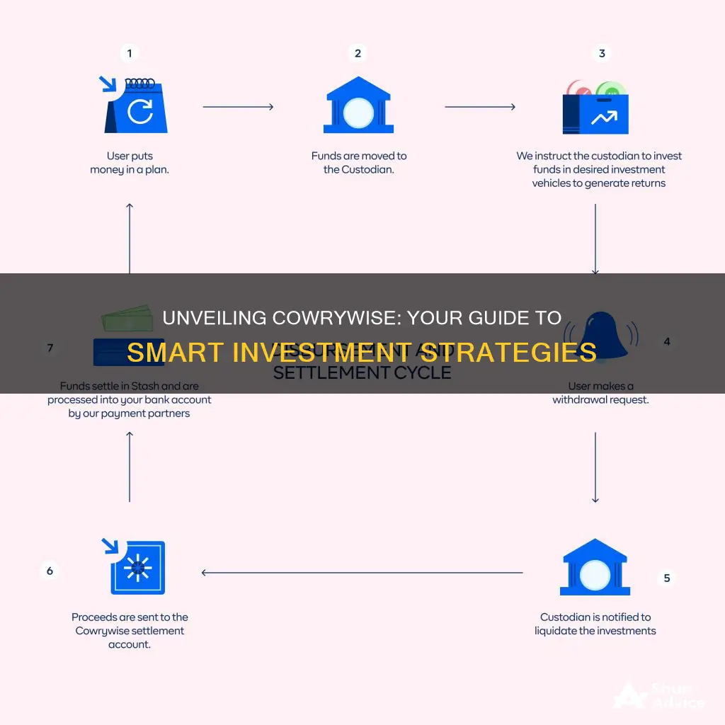 how does cowrywise investment work