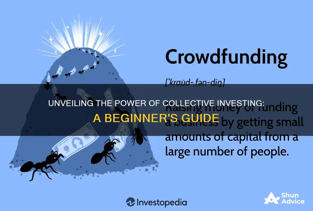 how does crowd investing work