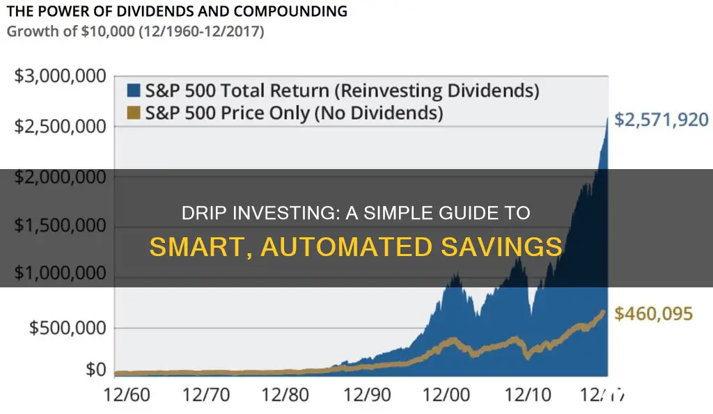 how does drip investing work