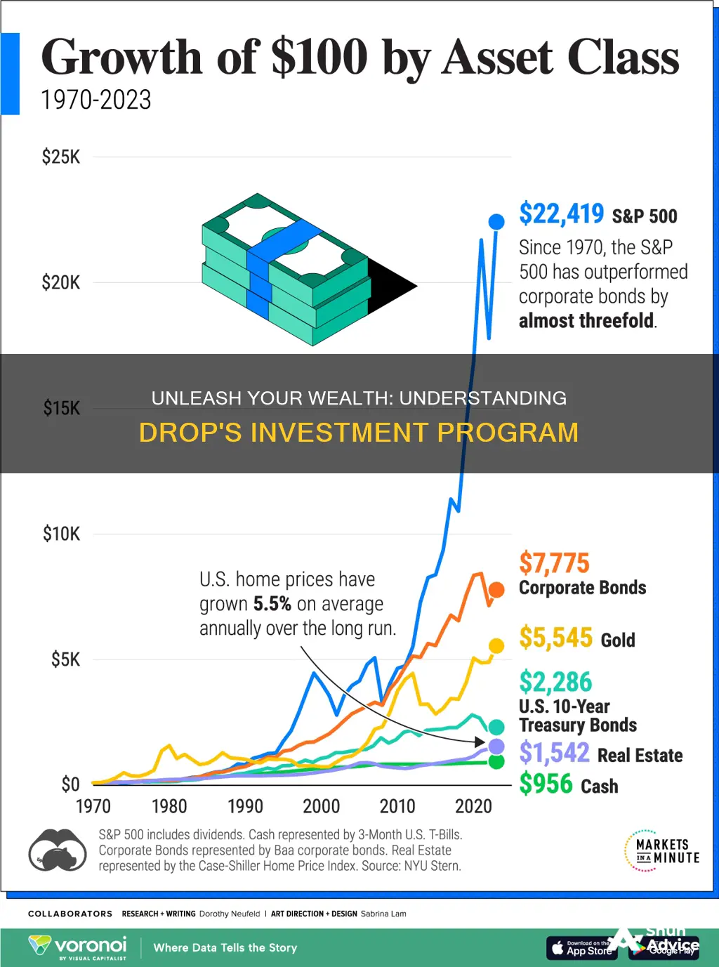 how does drop work investment program