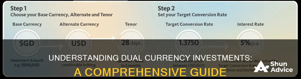 how does dual currency investment work