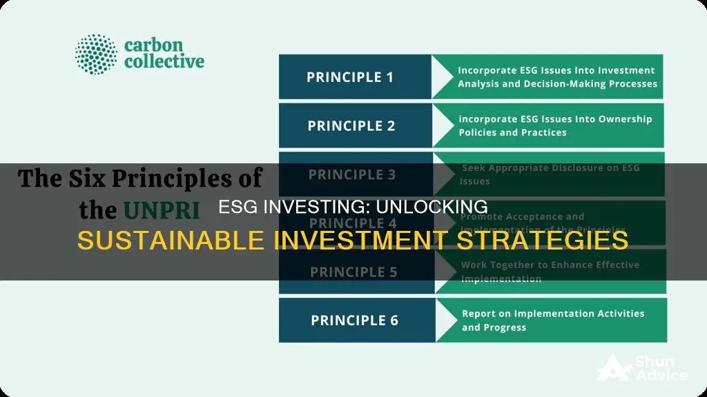 how does e s g investing work