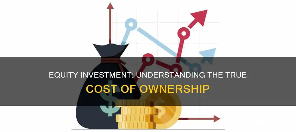 how does equity investment cost me