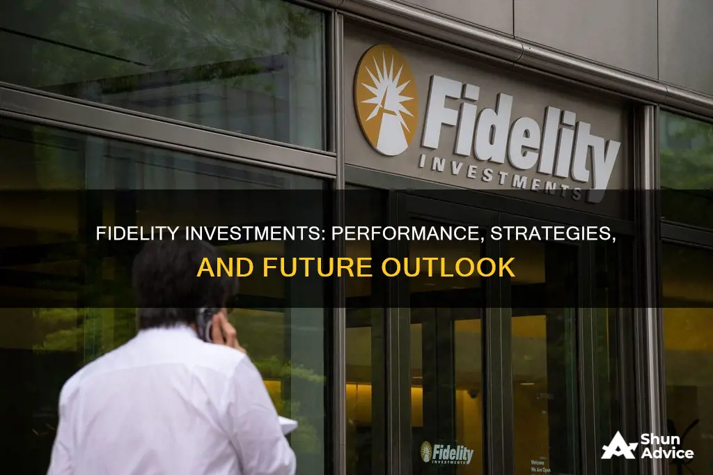 how does fidelity investement look in