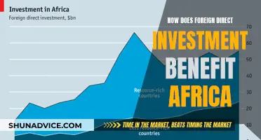 FDI's Impact: Africa's Economic Growth and Development