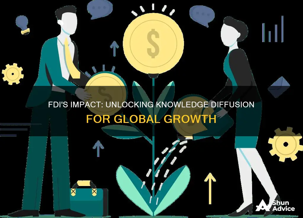 how does foreign direct investment effect knowledge diffusion